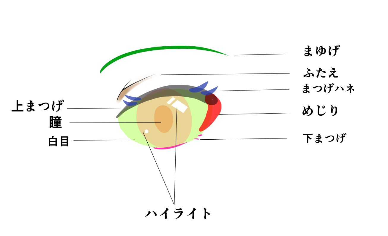 Live2d パーツ別イラストの分け方解説 風の森